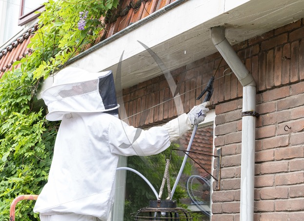De Wespen Verdelger - Wespen verwijderen en verplaatsen. Heiloo, Alkmaar, Castricum