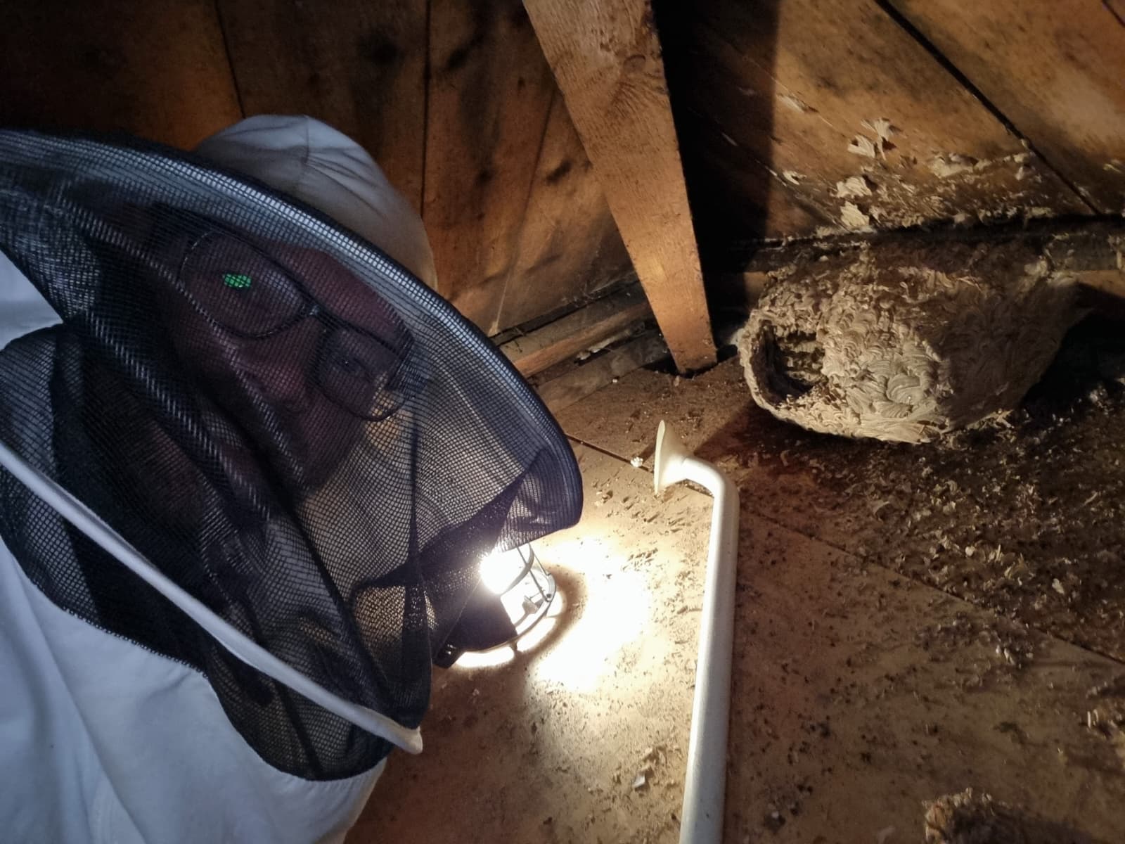 Een wespennest in Krommenie ontdekt? De Wespenverdelger verwijdert wespennesten snel en professioneel. Veilig geholpen bij wespenoverlast.